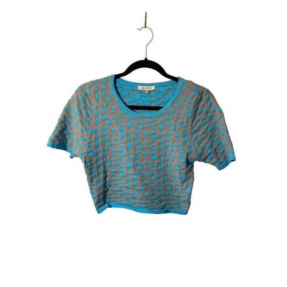 Lucy Paris, gray and blue polkadot, net, short sleeve, sweater, size large - Picture 1 of 3